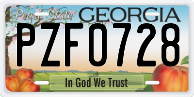 GA license plate PZF0728