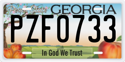 GA license plate PZF0733