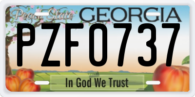 GA license plate PZF0737