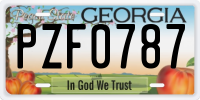 GA license plate PZF0787