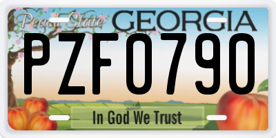 GA license plate PZF0790
