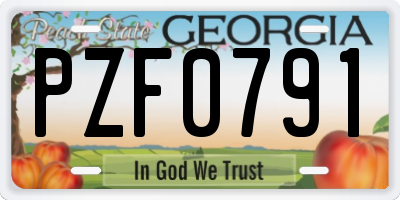 GA license plate PZF0791