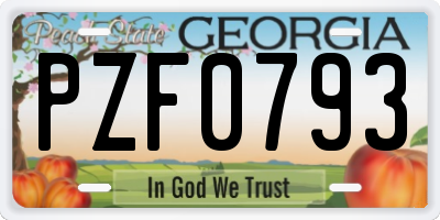 GA license plate PZF0793