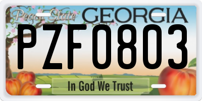 GA license plate PZF0803