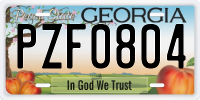 GA license plate PZF0804