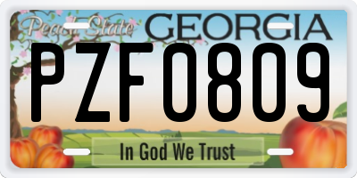 GA license plate PZF0809