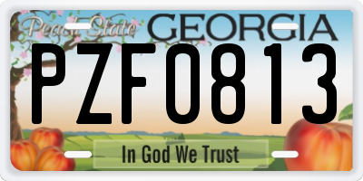 GA license plate PZF0813