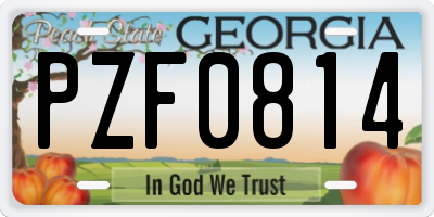 GA license plate PZF0814