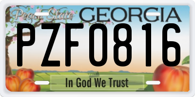 GA license plate PZF0816
