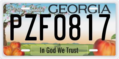 GA license plate PZF0817