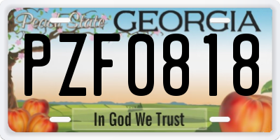 GA license plate PZF0818