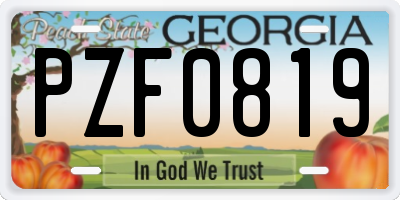 GA license plate PZF0819