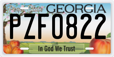 GA license plate PZF0822