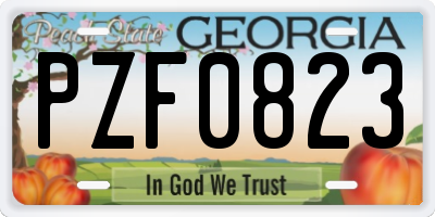 GA license plate PZF0823