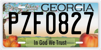 GA license plate PZF0827