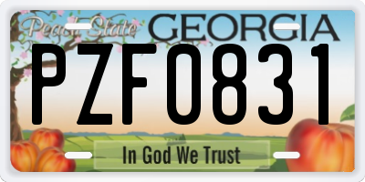 GA license plate PZF0831