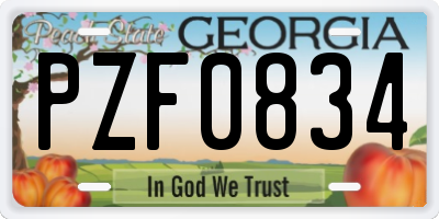 GA license plate PZF0834