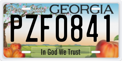GA license plate PZF0841