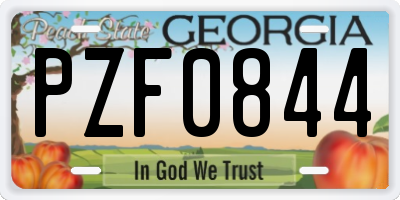 GA license plate PZF0844