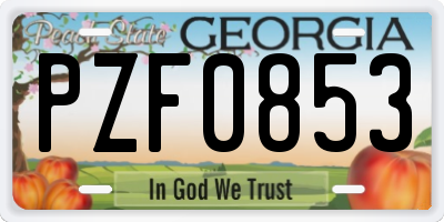 GA license plate PZF0853