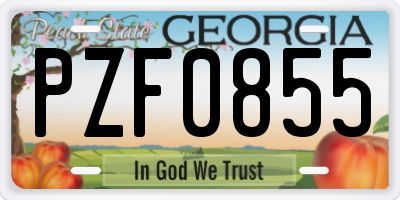 GA license plate PZF0855