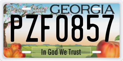 GA license plate PZF0857