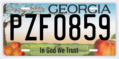 GA license plate PZF0859