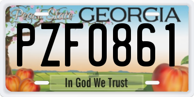 GA license plate PZF0861