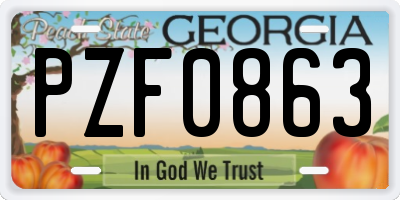 GA license plate PZF0863