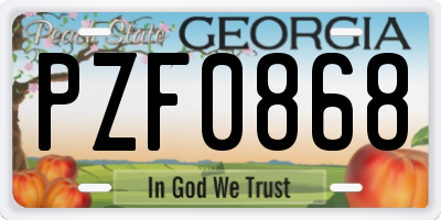 GA license plate PZF0868