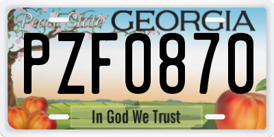 GA license plate PZF0870