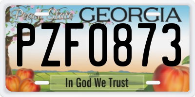 GA license plate PZF0873