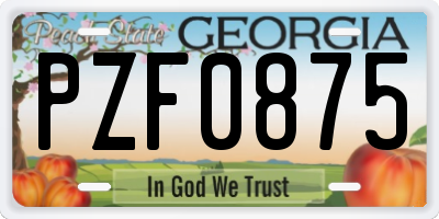 GA license plate PZF0875