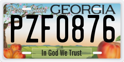 GA license plate PZF0876