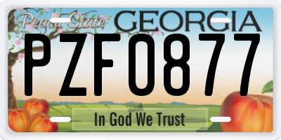 GA license plate PZF0877