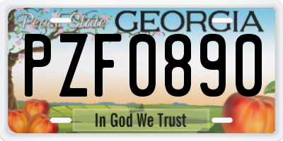 GA license plate PZF0890