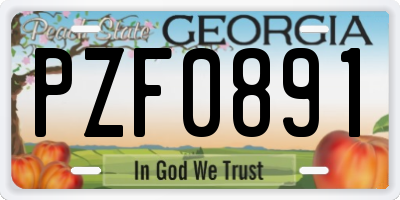 GA license plate PZF0891