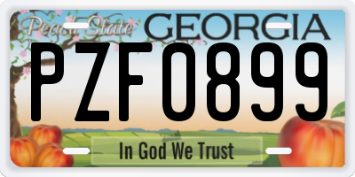 GA license plate PZF0899