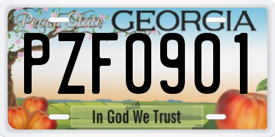 GA license plate PZF0901