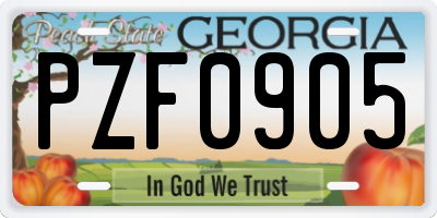GA license plate PZF0905