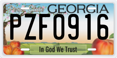 GA license plate PZF0916