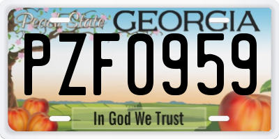 GA license plate PZF0959