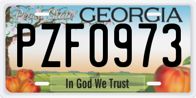 GA license plate PZF0973