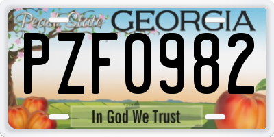 GA license plate PZF0982