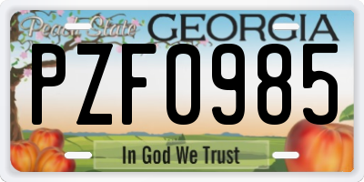 GA license plate PZF0985