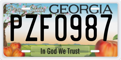 GA license plate PZF0987
