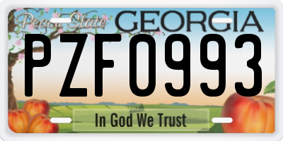GA license plate PZF0993