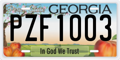 GA license plate PZF1003
