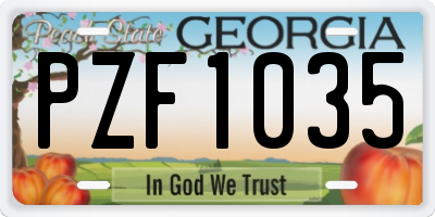 GA license plate PZF1035