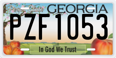 GA license plate PZF1053
